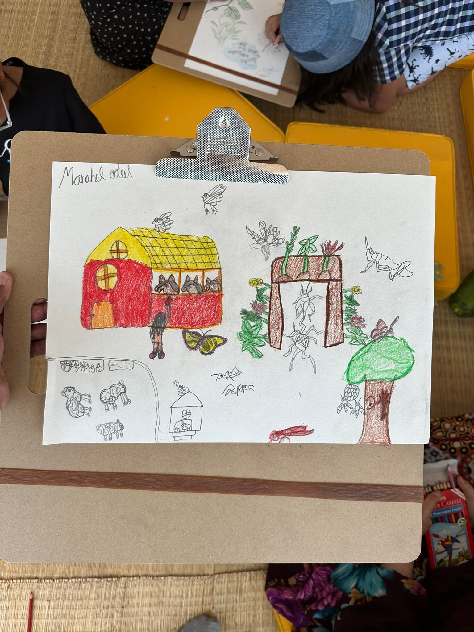 Plant Observation and Painting Workshop