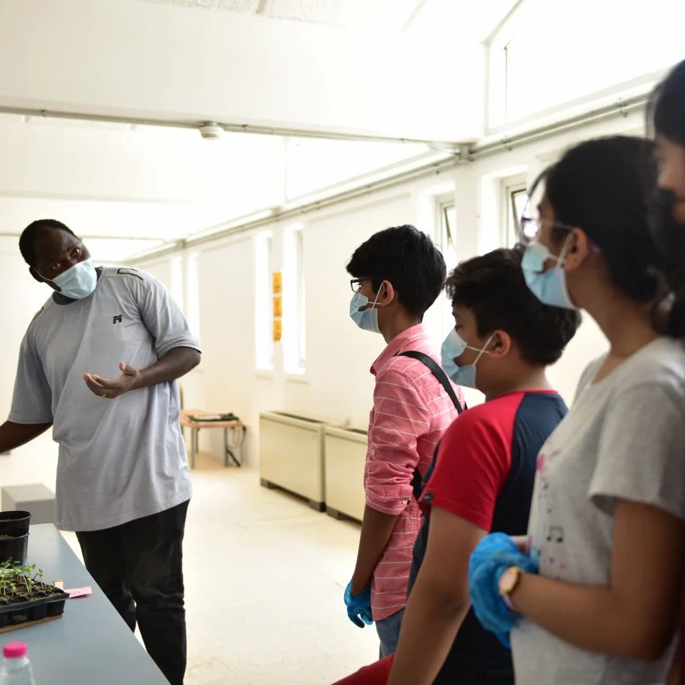 Knowledge Exchange: Transplanting of Seedlings