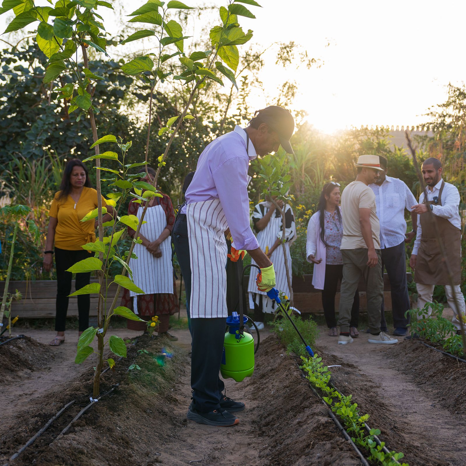 Hands in the Soil — Workshop Series 1