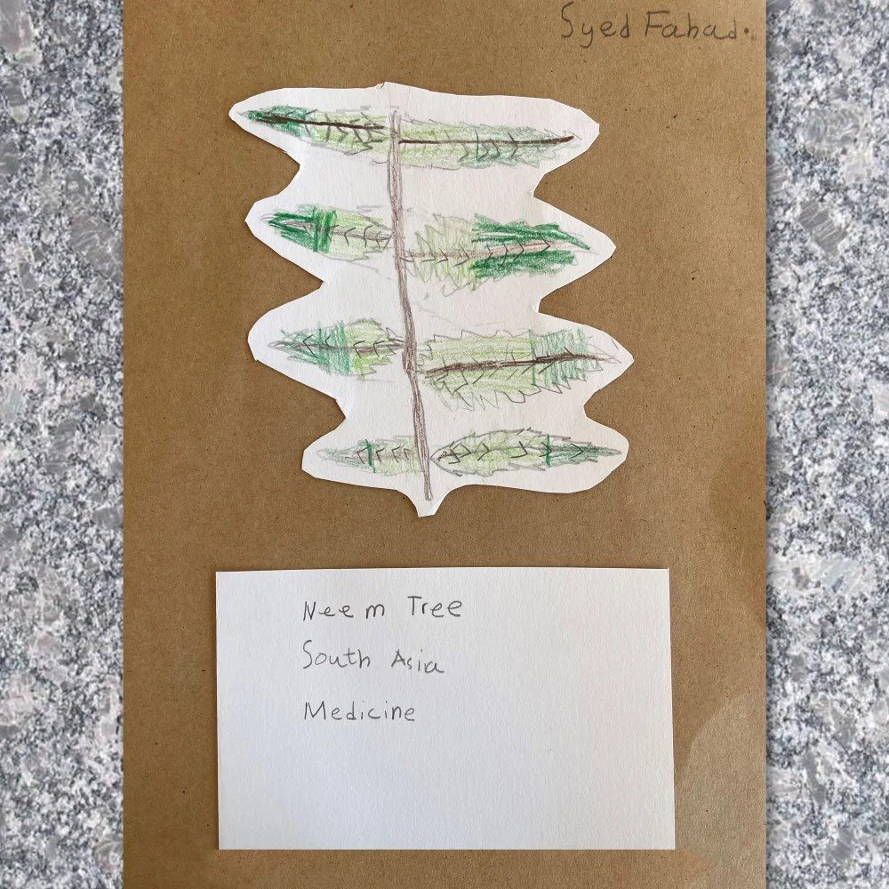 Knowledge Exchange: Plants Drawing Workshop