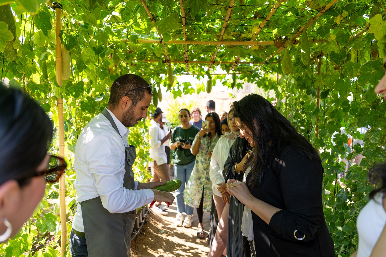 Harvesting and Cooking Session with SAT Staff